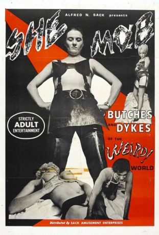 Девичья шайка (1968)