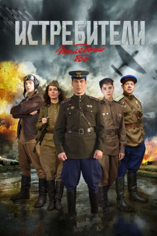 Истребители: Последний бой (2013)