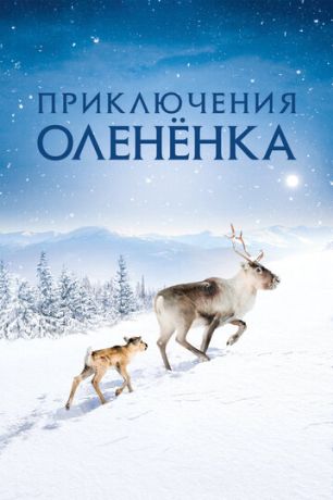 Приключения оленёнка (2019)