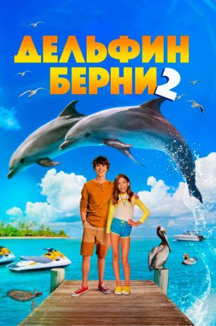 Дельфин Берни 2 (2019)