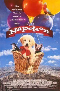 Наполеон (1999)