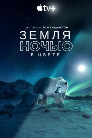 Земля ночью в цвете (2020)