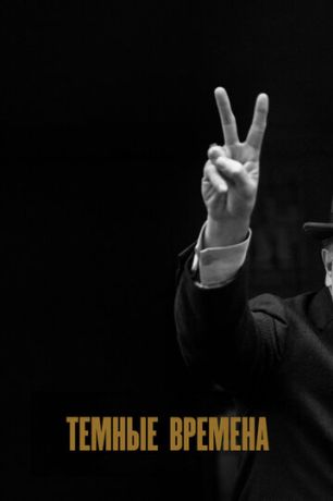 Темные времена (2018)