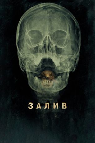 Залив (2012)