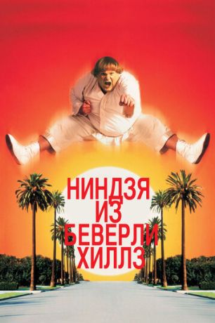 Ниндзя из Беверли Хиллз (1997)