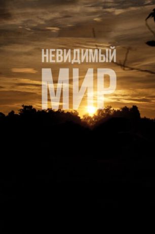 Невидимый мир (2013)