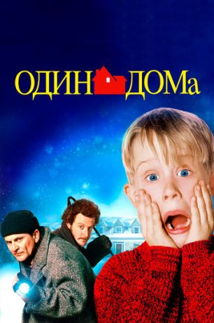 Один дома (1993)