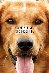 Собачья жизнь