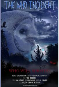 Неопознанный инцидент