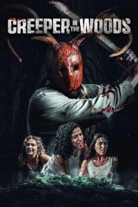 Creeper in the Woods