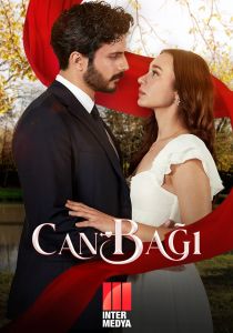 Струны любви