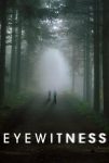 Свидетели (2016)